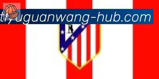 NG体育官网合作伙伴